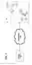 Fig. 06 - METHOD AND APPARATUS FOR FACILITATING PROXIMITY DETECTION IN A WIRELESS NETWORK