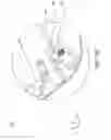 Fig. 08 - Electronic device and moving mechanism thereof