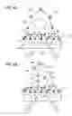 Fig. 05 - Live-cell signals of pathogen intrusion and methods thereof