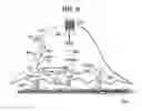 Fig. 10 - Live-cell signals of pathogen intrusion and methods thereof
