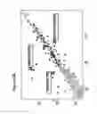 Fig. 19 - Compositions and methods for the diagnosis and prognosis of mesothelioma