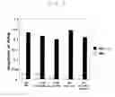 Fig. 07 - Transcription chip