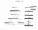 Fig. 18 - Transcription chip