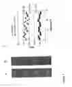 Fig. 06 - Porous substrate plates and the use thereof