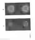 Fig. 07 - Porous substrate plates and the use thereof