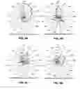 Fig. 04 - Nanosensor array for electronic olfaction