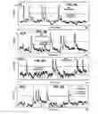 Fig. 09 - Nanosensor array for electronic olfaction