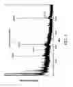 Fig. 04 - Antibacterial peptides active in systemic infections