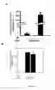 Fig. 09 - PARP inhibitors