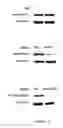 Fig. 10 - PARP inhibitors
