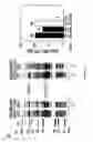 Fig. 19 - PARP inhibitors