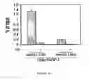 Fig. 20 - PARP inhibitors