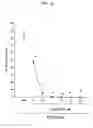 Fig. 06 - Method for reducing neuronal death in nervous system injuries resulting from amyotrophic lateral sclerosis