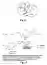 Fig. 06 - Conformationally restrained epothilone analogues as anti-leukemic agents