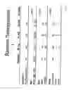 Fig. 09 - SUSTAINED RELEASE AMINOPYRIDINE COMPOSITIONS