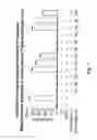 Fig. 02 - Lipoxin A4 Protection for Retinal Cells