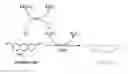 Fig. 01 - Arylcyclopropylamines and methods of use