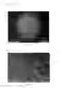 Fig. 02 - Microcapsule-type latent curing agent