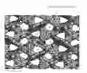 Fig. 01 - Polymer complex having channels and method for chemically modifying inner surfaces of channels of polymer complex