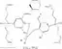 Fig. 08 - Catalytic system for CO/epoxide copolymerization