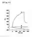Fig. 05 - PHAGE-DISPLAYING SINGLE-CHAIN ANTIBODY CAPABLE OF RECOGNIZING NON-REDUCED MANNOSE RESIDUE