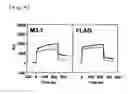Fig. 09 - PHAGE-DISPLAYING SINGLE-CHAIN ANTIBODY CAPABLE OF RECOGNIZING NON-REDUCED MANNOSE RESIDUE