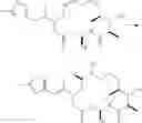 Fig. 35 - Processes for making epothilone compounds and analogs