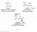 Fig. 07 - Compounds and methods of arylmethylation (benzylation) as protection for alcohol groups during chemical synthesis