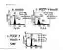 Fig. 04 - NOVEL USE OF DIMETHYLFUMARATE