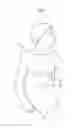 Fig. 02 - Apparatus for treating obesity