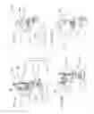Fig. 09 - System and method for delivering moisturizing liquid to lips of a subject