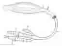 Fig. 01 - Hypothermia for improving rate of functional recovery following pelvic surgeries