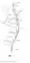 Fig. 02 - Methods and Devices for Treating a Multi-Level Spinal Deformity