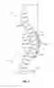 Fig. 03 - Methods and Devices for Treating a Multi-Level Spinal Deformity