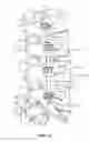 Fig. 08 - Methods and Devices for Treating a Multi-Level Spinal Deformity