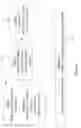 Fig. 02 - Induced modulation of neuronal transmission