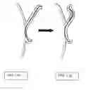 Fig. 09 - Surgical scaffold