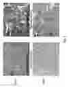 Fig. 06 - Biocompatible material and uses thereof