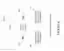 Fig. 07 - Trans-lingual representation of text documents
