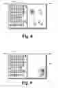 Fig. 06 - Integrating digital book and zoom interface displays