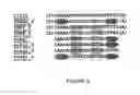 Fig. 06 - Meganuclease variants cleaving a DNA target sequence from the mouse ROSA26 locus and uses thereof