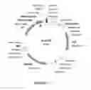 Fig. 08 - Meganuclease variants cleaving a DNA target sequence from the mouse ROSA26 locus and uses thereof