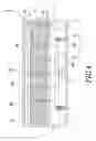Fig. 05 - Healthy bed for actively supporting a human spine curve