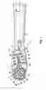 Fig. 02 - Electric Toothbrush and Toothbrush Head Therefor