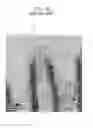 Fig. 05 - Method for fabricating capacitor