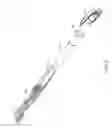 Fig. 04 - Razors