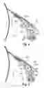 Fig. 08 - Method, a blade holder and a doctor apparatus for detaching a web threading tail from a moving surface in a fiber web machine
