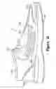 Fig. 11 - Article of footwear having a textile upper