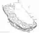 Fig. 01 - Article of footwear with a collapsible structure