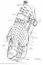 Fig. 02 - Rowing shoes
